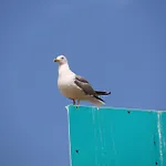 شقة Easy4stay By Center I بورتيماو