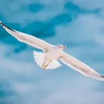 Easy4stay By Center I Διαμέρισμα Portimão