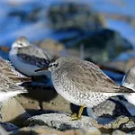 شقة Easy4stay By Center I