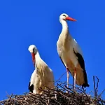 Easy4stay By Center I