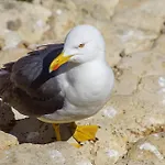 Easy4stay By Center I *