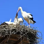 Διαμέρισμα Easy4stay By Center I