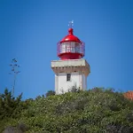 Easy4stay By Center I Portimão