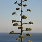 Easy4stay By Center I