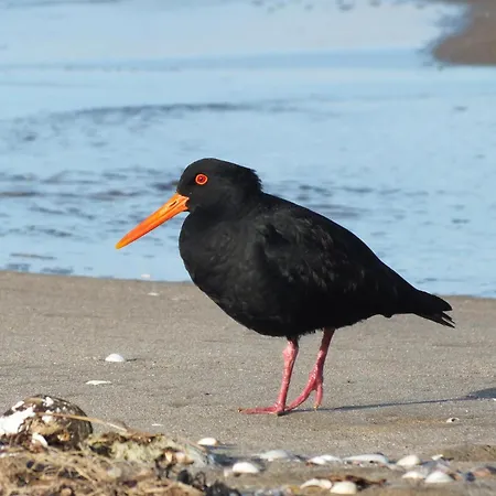 Easy4stay By Center I بورتيماو