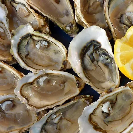 Easy4stay By Center I アパート *