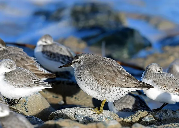 アパート Easy4stay By Center I