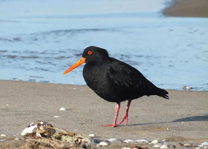 Easy4stay By Center I ポルティマン