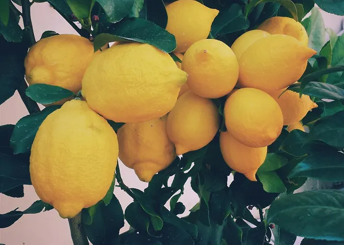 Easy4stay By Center I ポルティマン