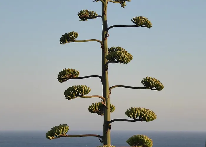 Easy4stay By Center I