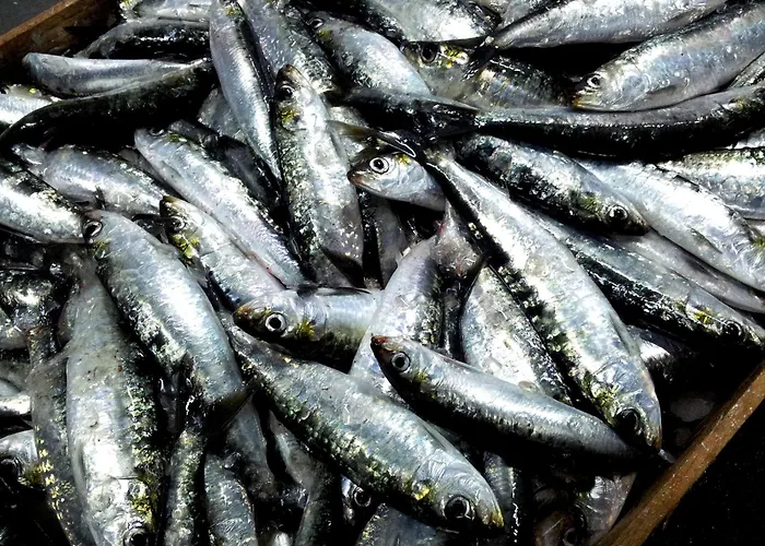 Apartment Easy4stay By Center I