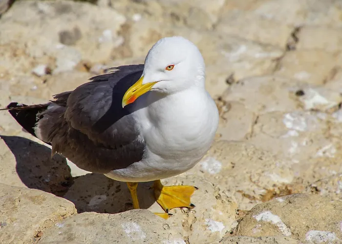 Easy4stay By Center I *