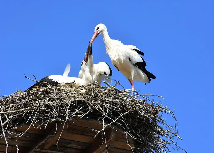 Apartment Easy4stay By Center I