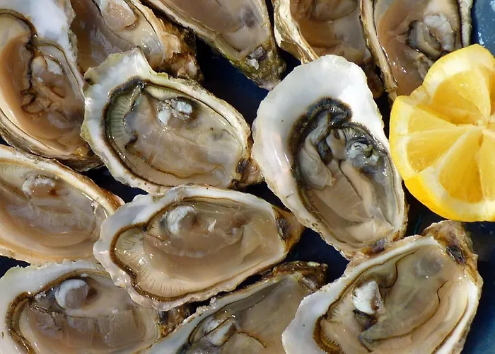 Easy4stay By Center I Apartment *